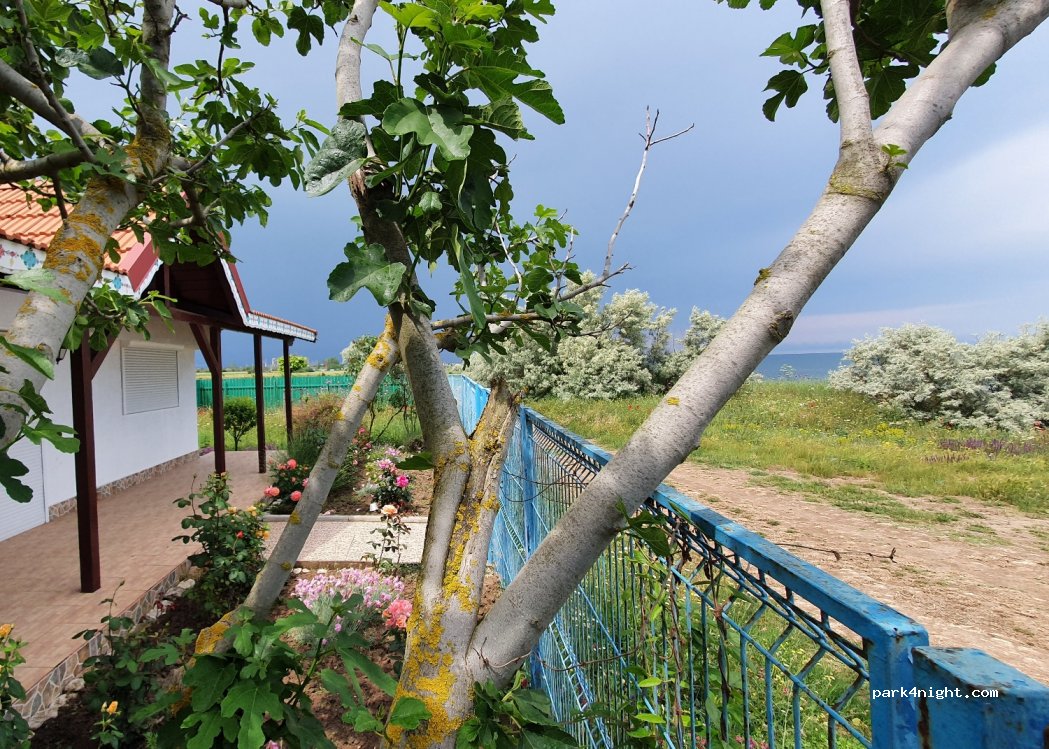 (907163) Vama Veche - E87 — foto 2