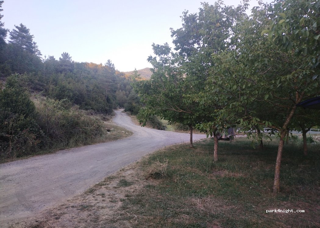 (22728) Ansó - — foto 3