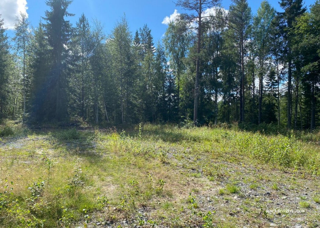 (915 94)  - Unnamed Road — foto