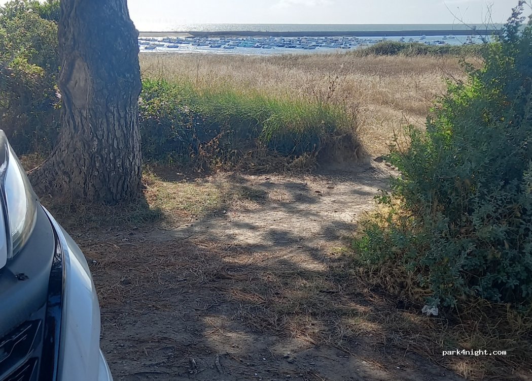 (44770) Préfailles - Chemin des Pinettes — foto 3