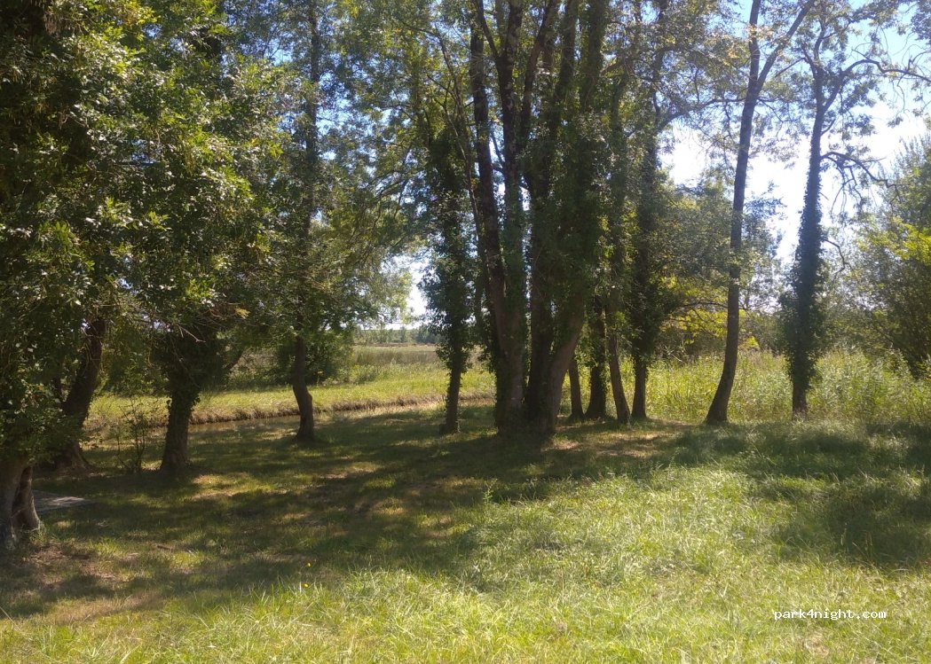 (33340) Ordonnac - — foto
