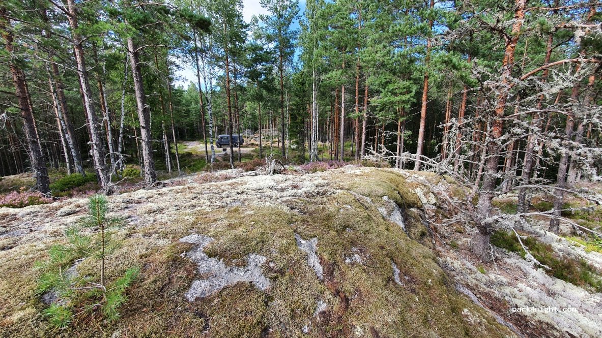 (716 94) Mullhyttan - Unnamed road — foto
