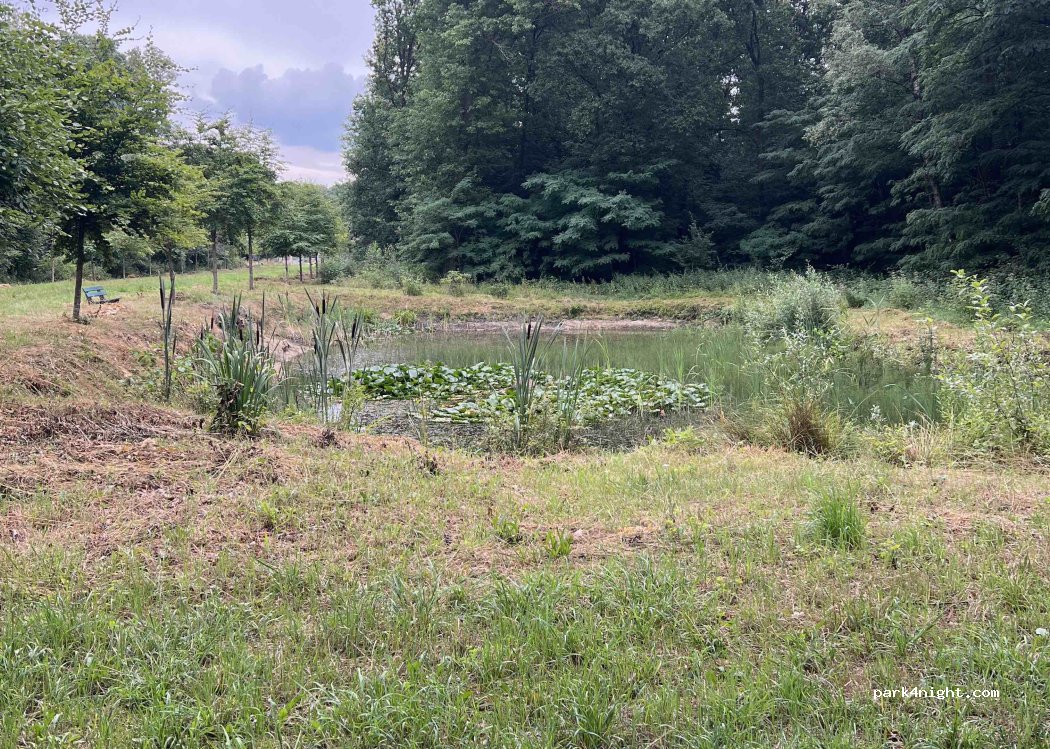 Natuurcamping de Dassenboom — foto 4