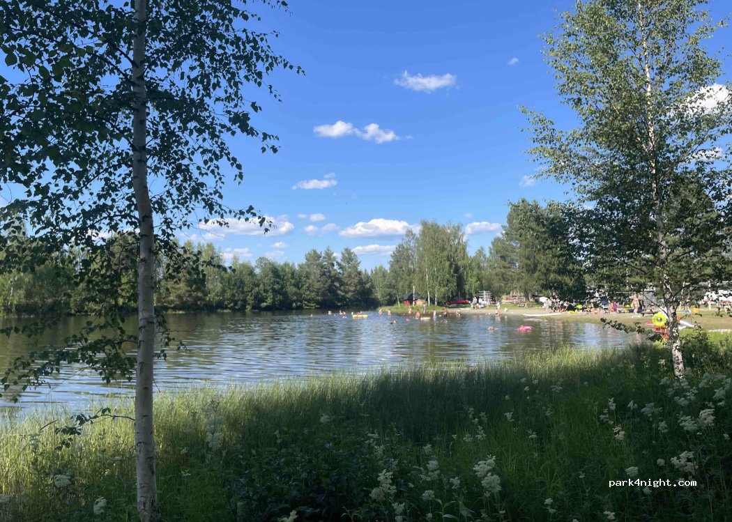 (836 92) Lit - 125 HÅRKMON — foto 3