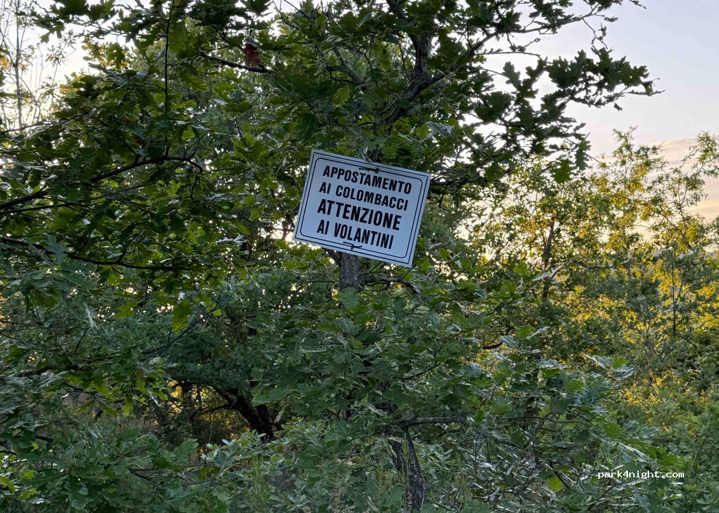 (06065) Passignano sul Trasimeno - — foto 5
