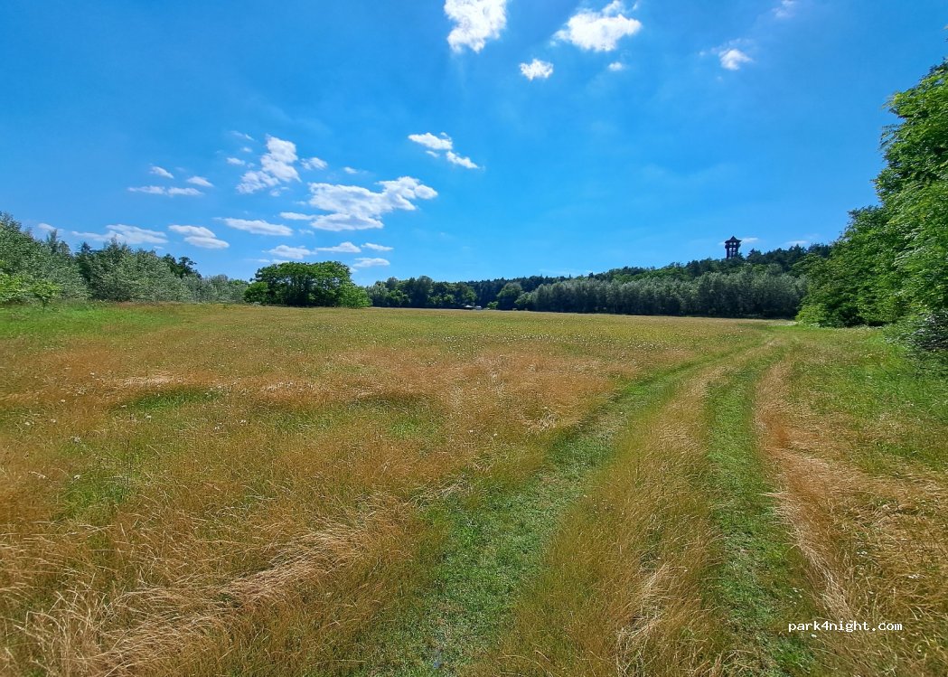 (4002) Debrecen - — foto 3