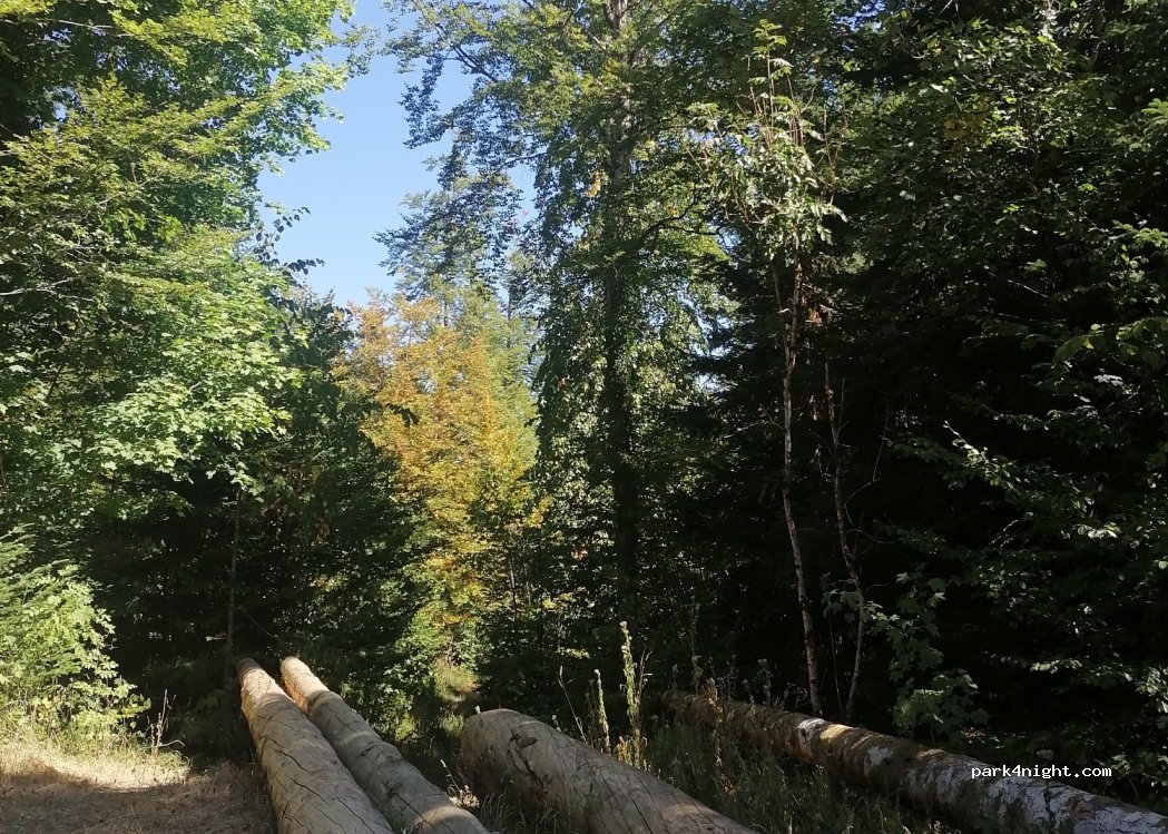 (39130) Le Frasnois - — foto 3