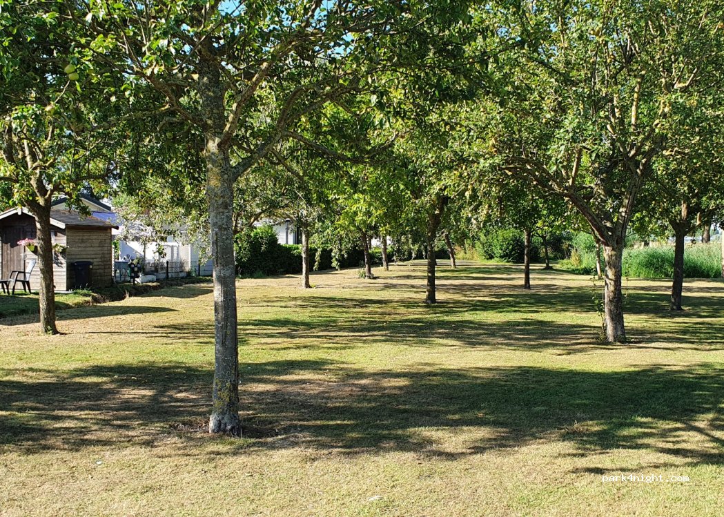 Camping Bonte Hoeve — foto 3