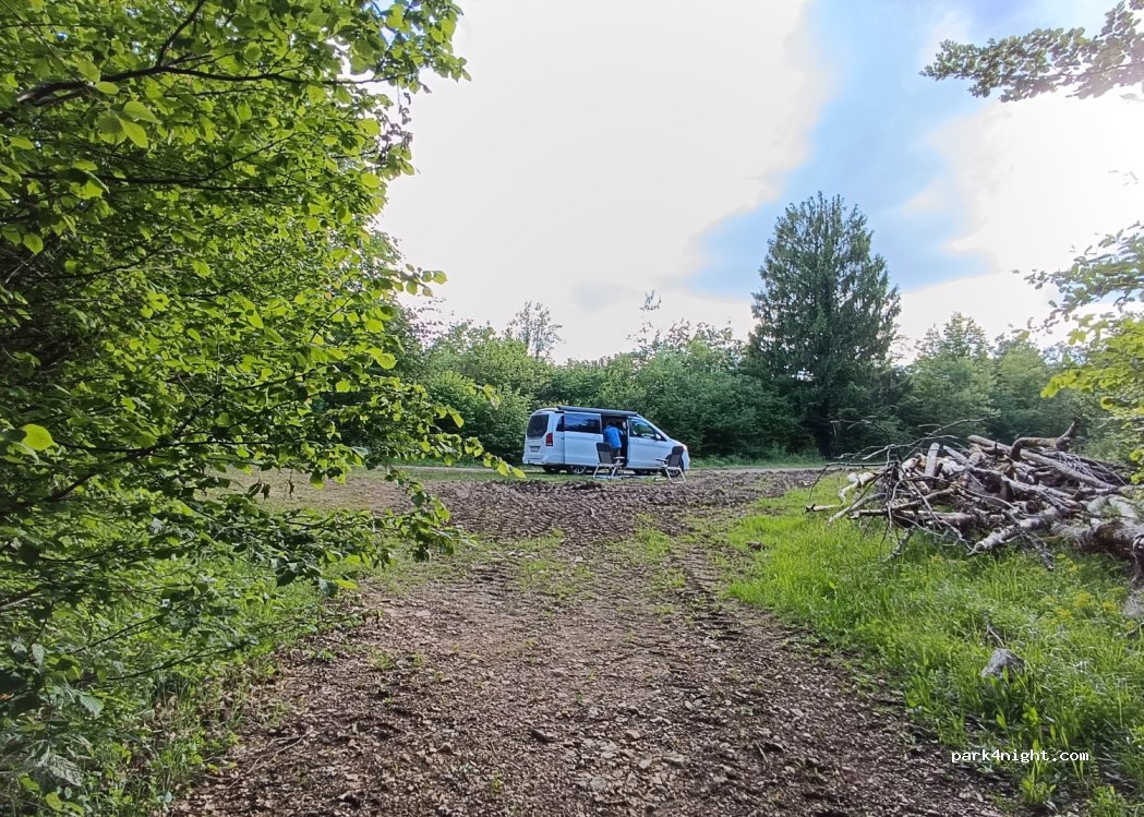 (39130) Saugeot - — foto 3