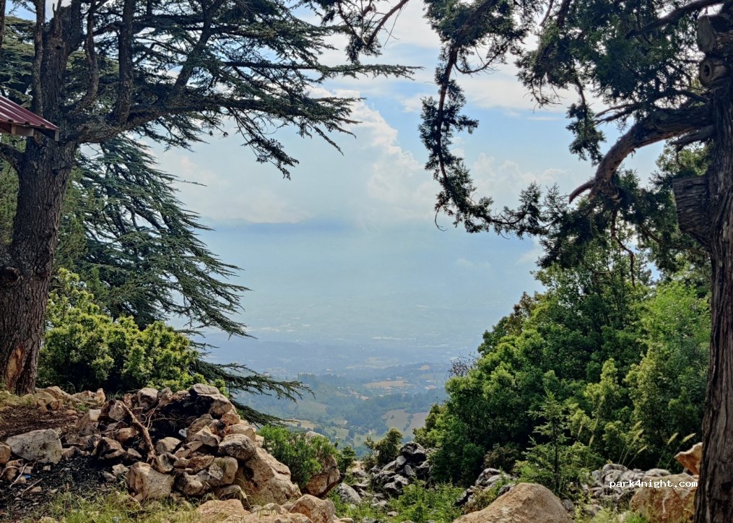 (48850) Muğla - — foto 4