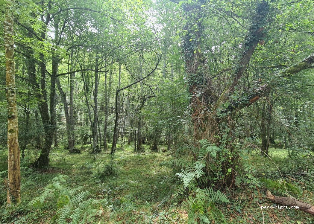 (48144) Ubide - Unnamed Road — foto 3
