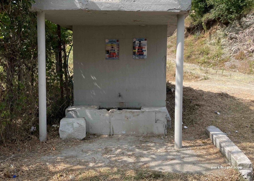 (37600) Kuşçu - D010 — foto
