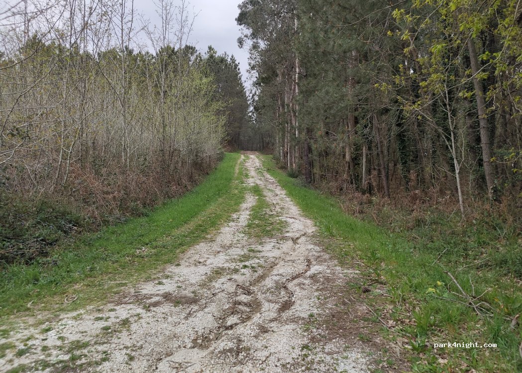 (36688) A Ribeira - — foto 3