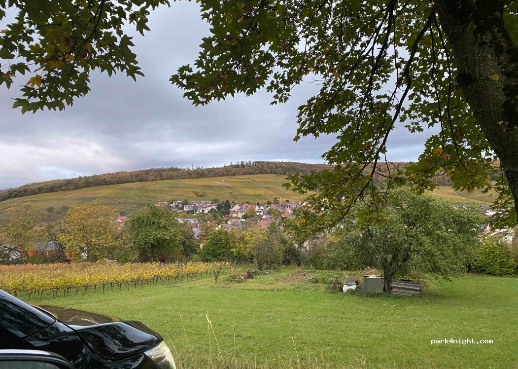 (79292) Pfaffenweiler - L125 — foto 2