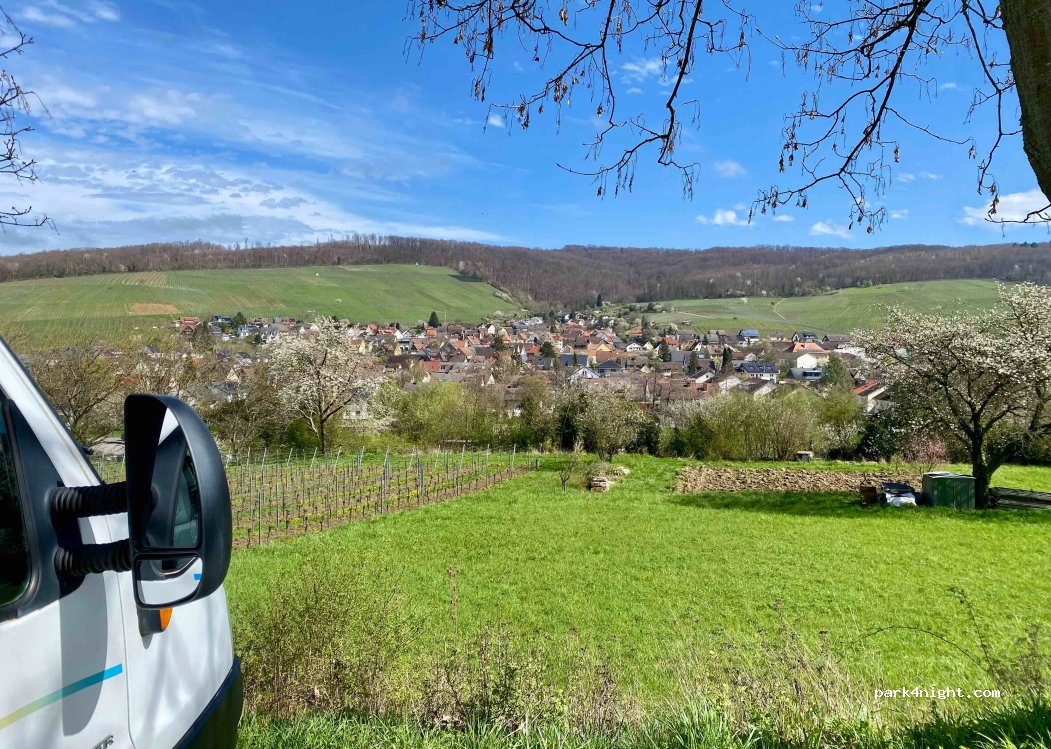 (79292) Pfaffenweiler - L125 — foto 4