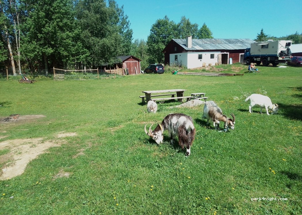 Tandsjöfarm — foto 2