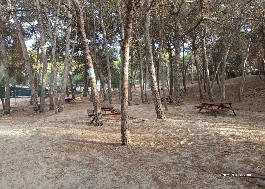 La Sosta | Area Camper Gallipoli — foto 2