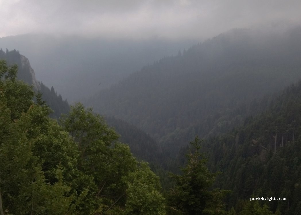 (37225) Brzeće - — foto 3