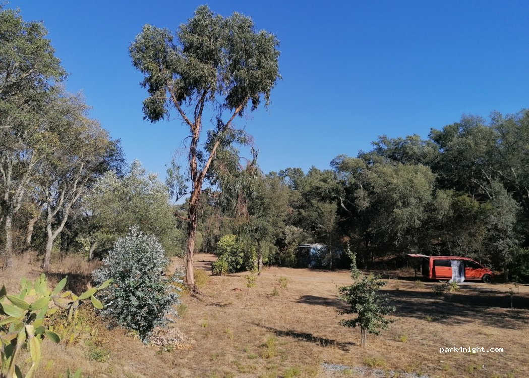 (7630-521) Odemira - Ameixeira, EM 503 — foto