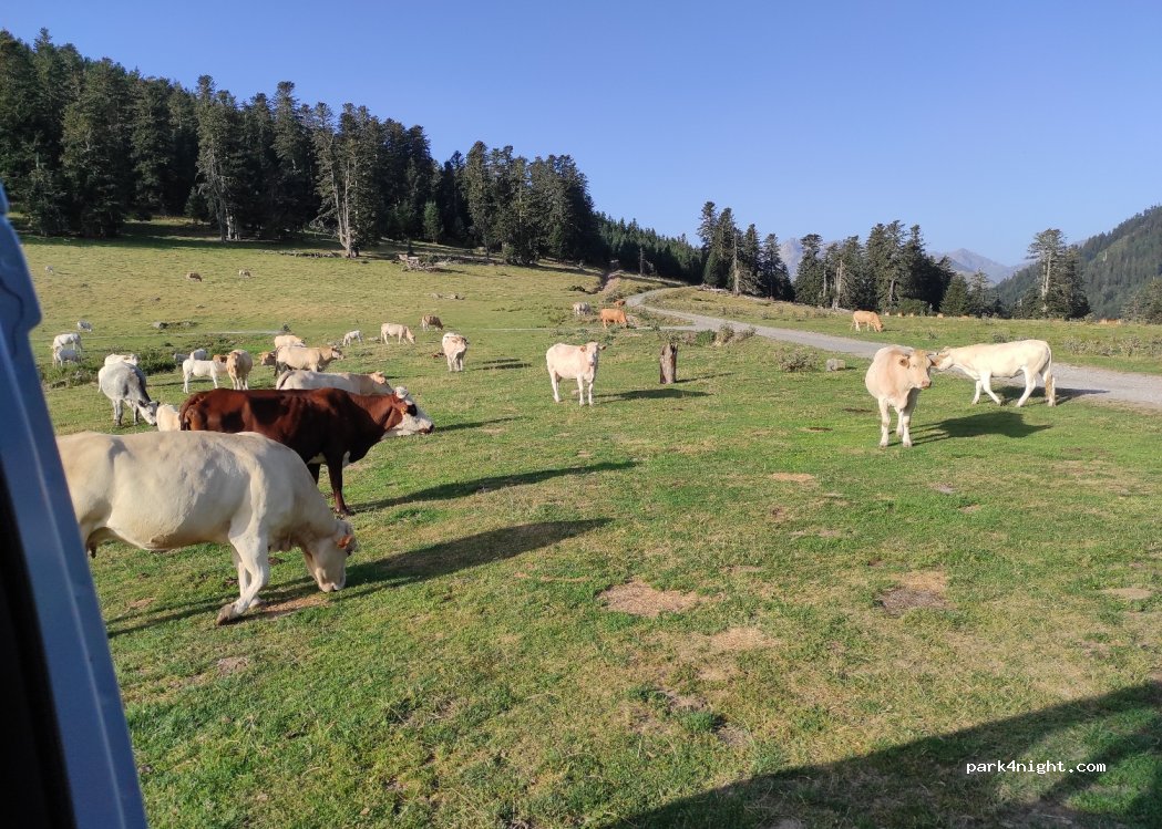(65410) Beyrède-Jumet-Camous - — foto