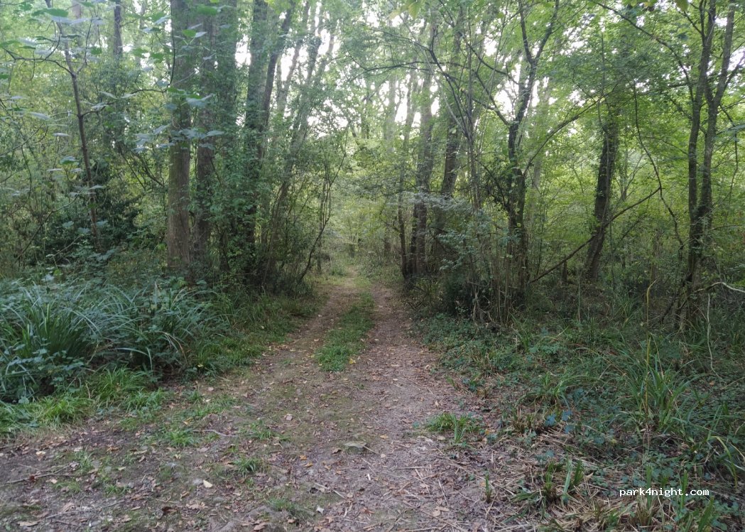 (64210) Ahetze - 1380 Chemin Larré Luzea — foto 2