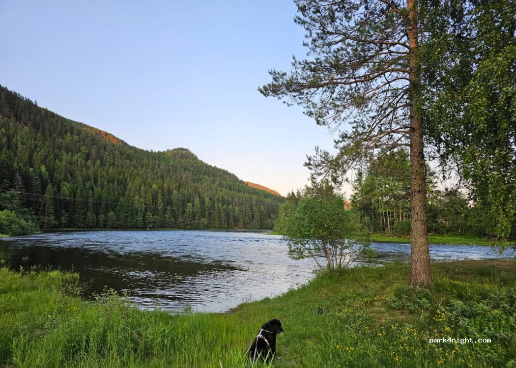 Morudstranda colony camping — foto 3