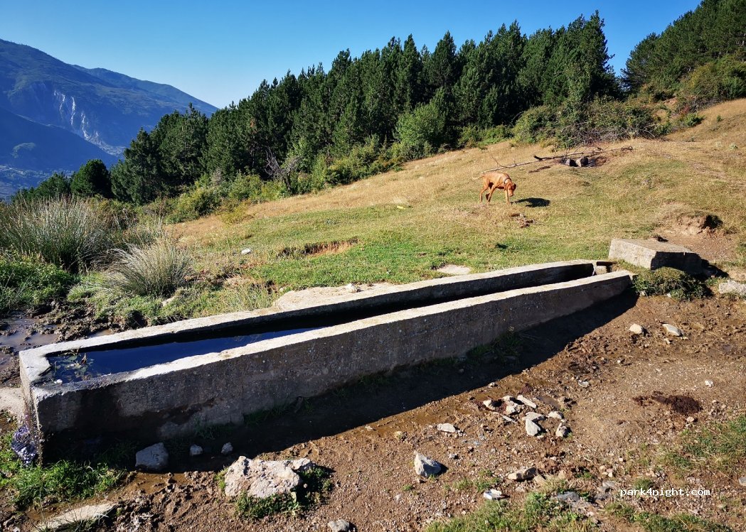 () Gështenjë-Kalis - — foto 2