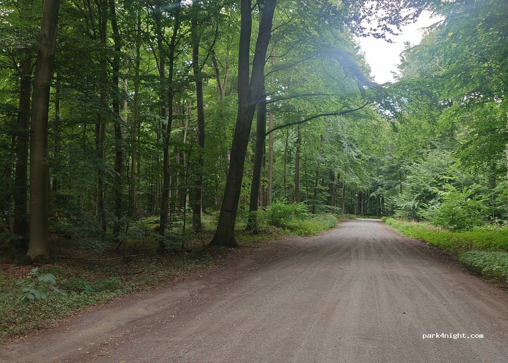 (28857) Syke - Unnamed Road — foto