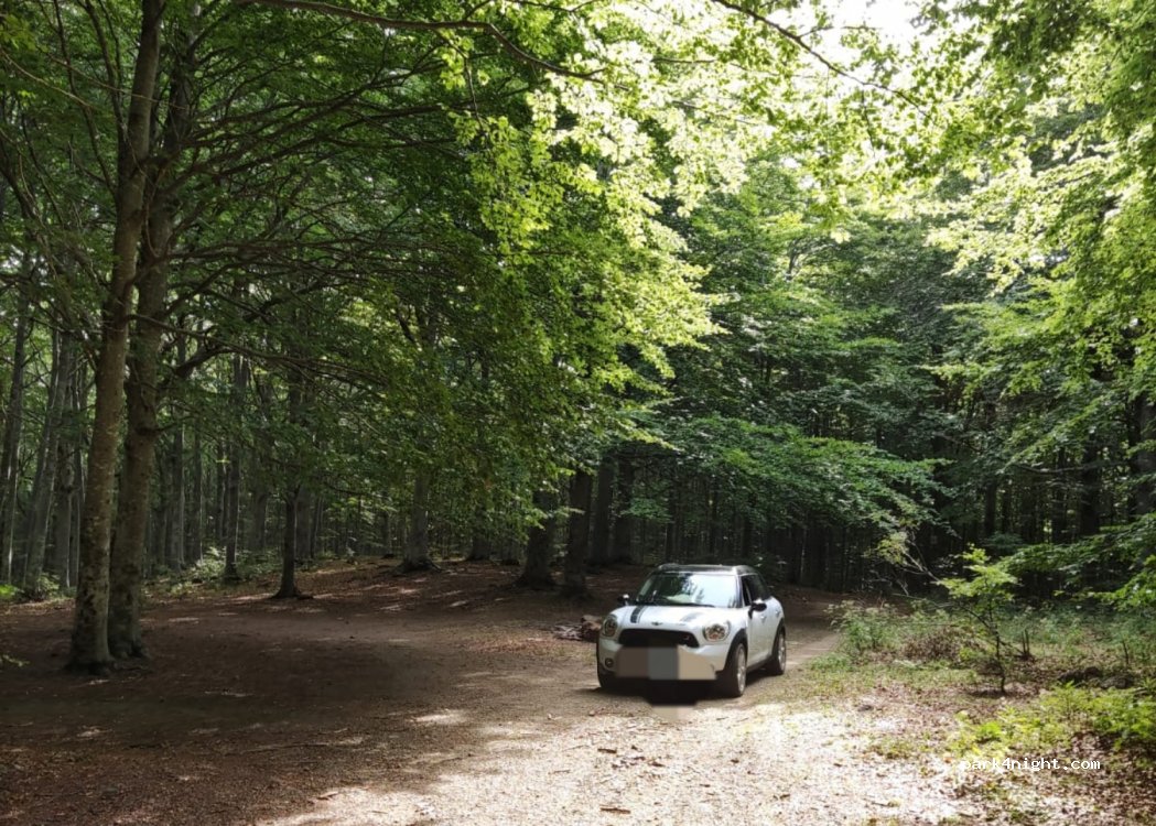 (43041) Bedonia - Unnamed road — foto