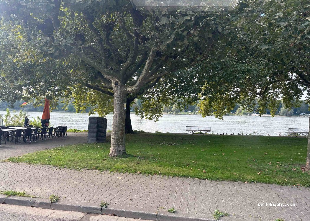 (65203) Wiesbaden - 2 Uferstraße — foto 4