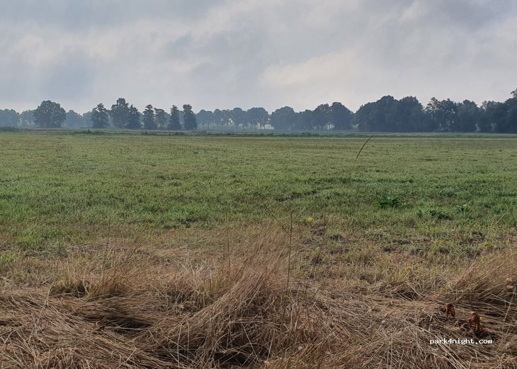 (5062) Oisterwijk - Lage Logtsedijk — foto