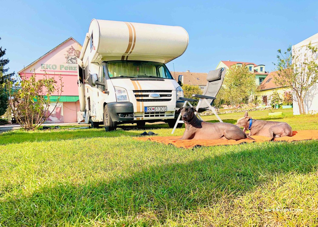 Eco Hotel & Camping LEO — foto 4
