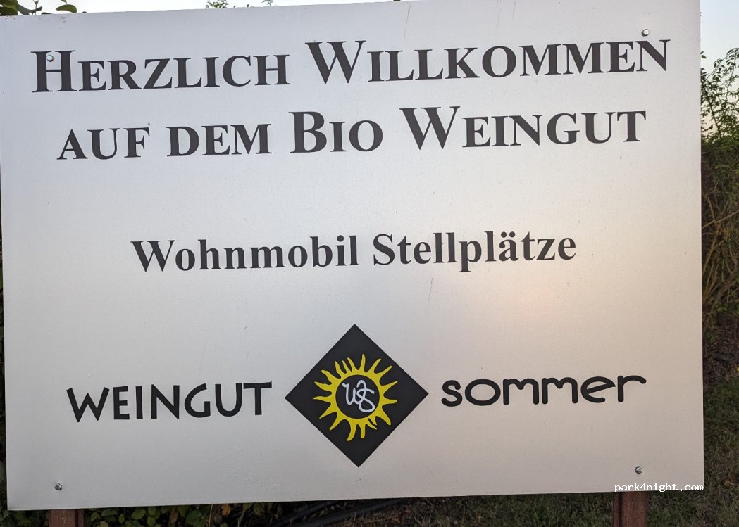 Weingut Sommer — foto 3
