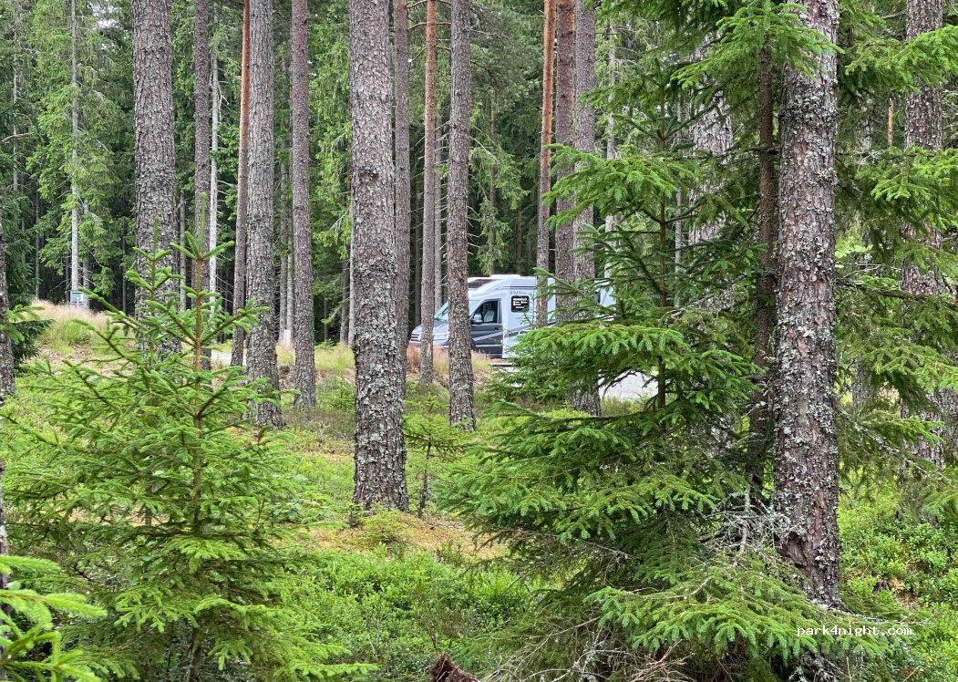 (668 93) Ed - — foto 3