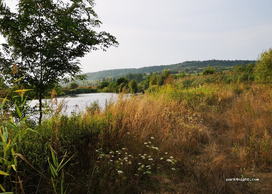 (557015) Arpașu de Jos - — foto 2