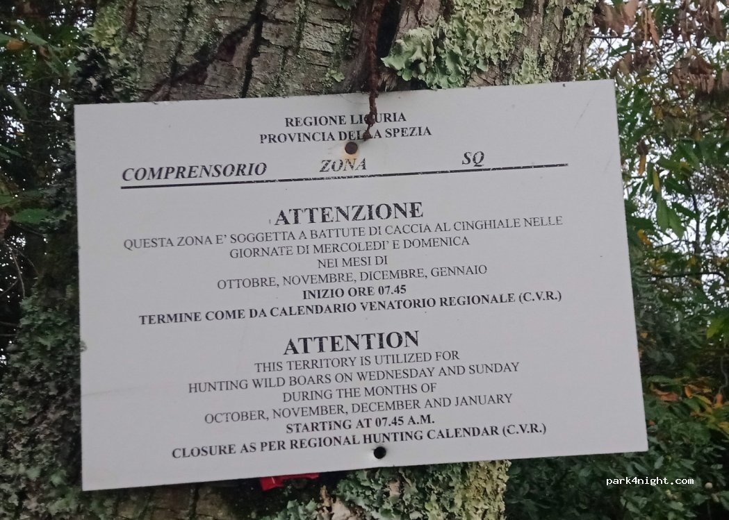 (19132) La Spezia - 801 Strada Provinciale delle Cinque Terre — foto 2