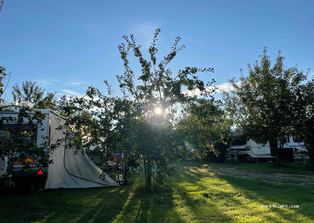 Campingplatz Krautsand am Elbstrand — foto
