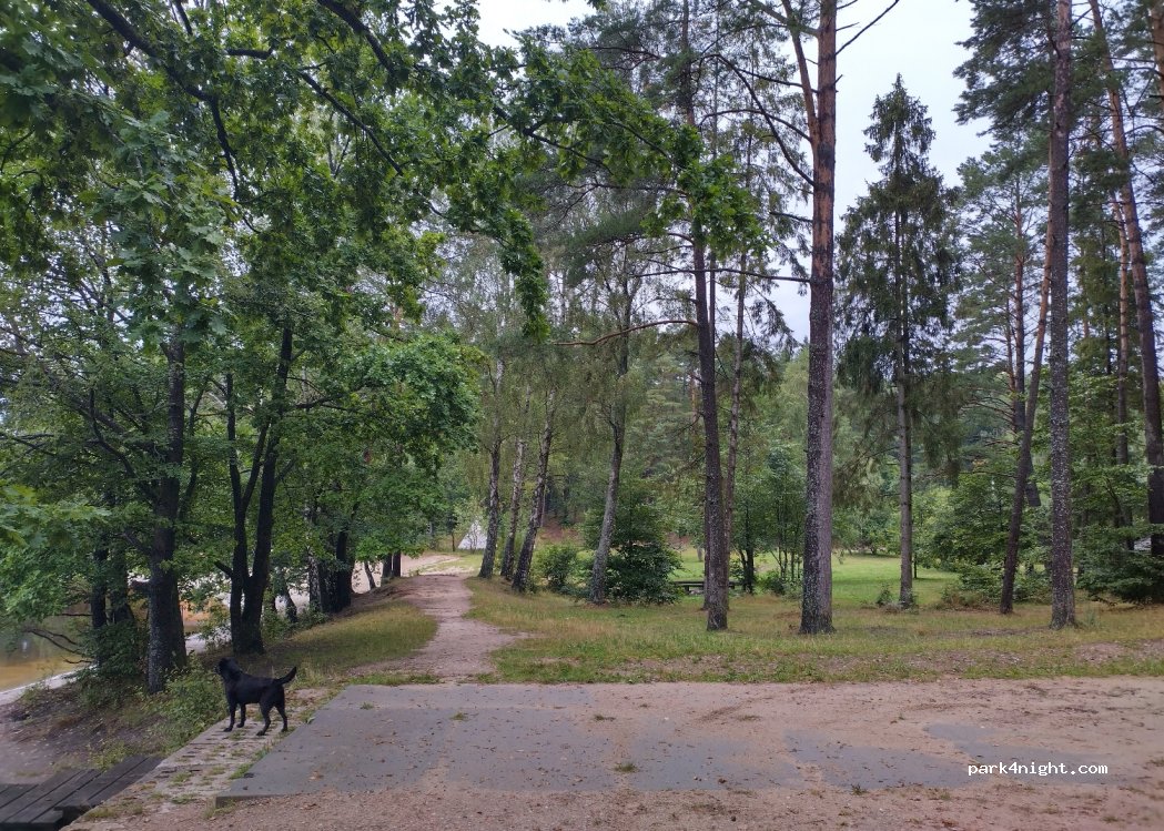 (84-206) Nowy Dwór Wejherowski - 33 Bukowa — foto