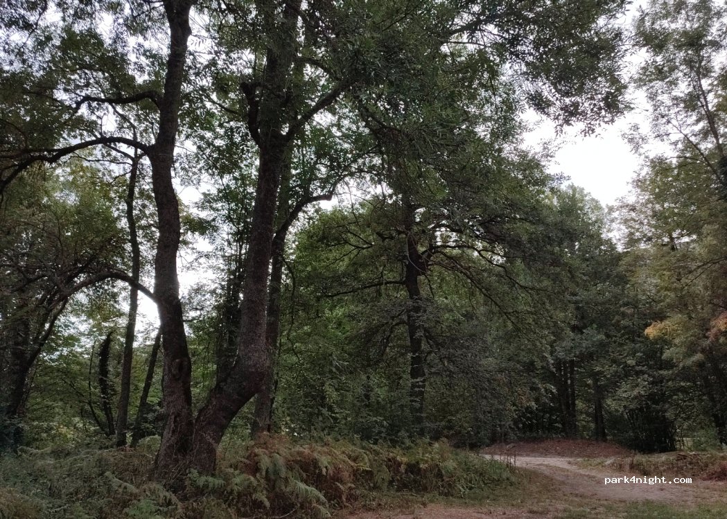 (09110) Savignac-les-Ormeaux - Route d'Espagne — foto 2