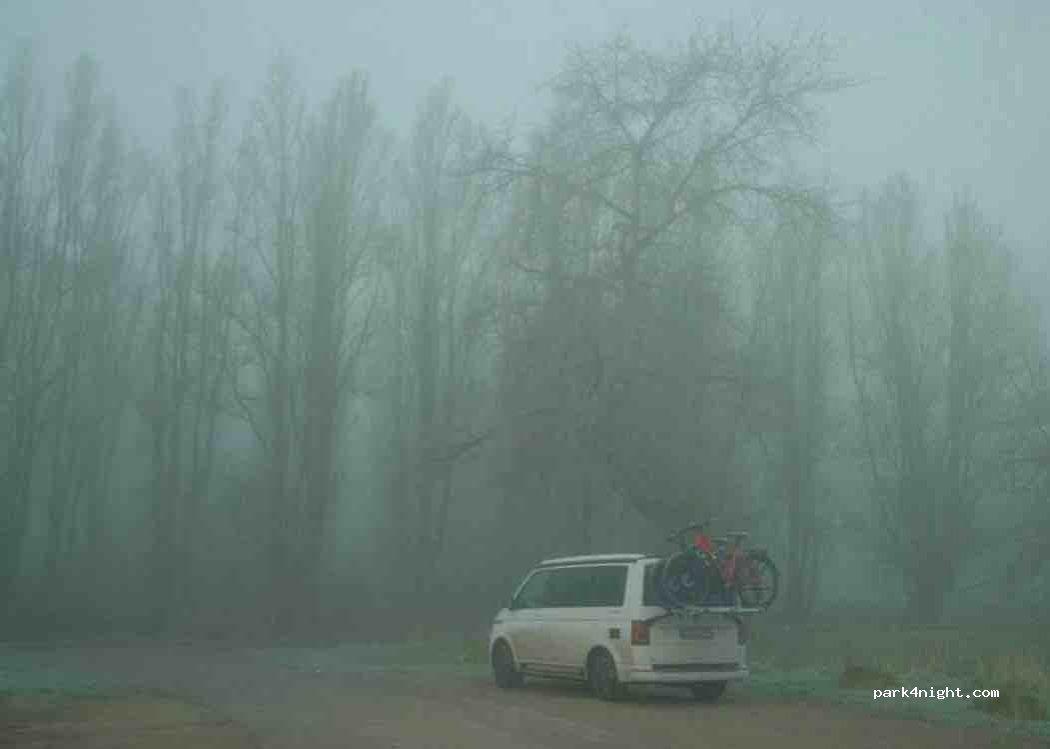 (2641 ZA) Pijnacker - 101 Noordweg — foto 3