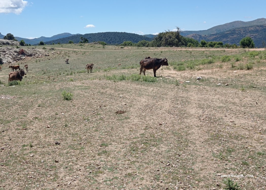 (08049) Villagrande Strisaili - — foto 4
