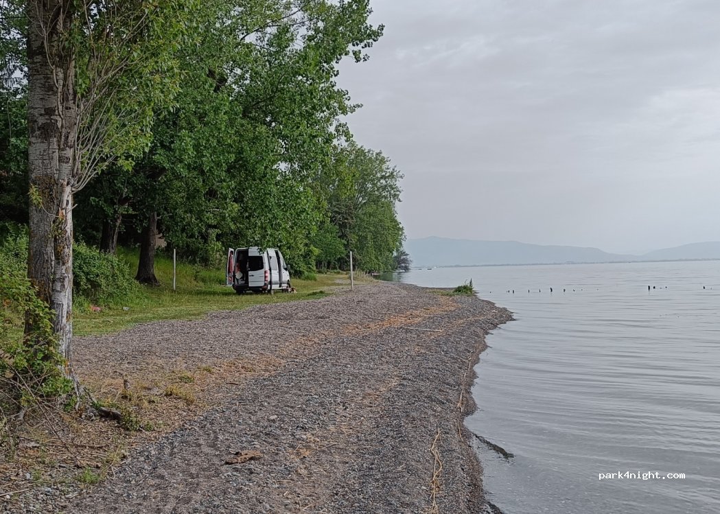 (6330) Radozhda - — foto 2