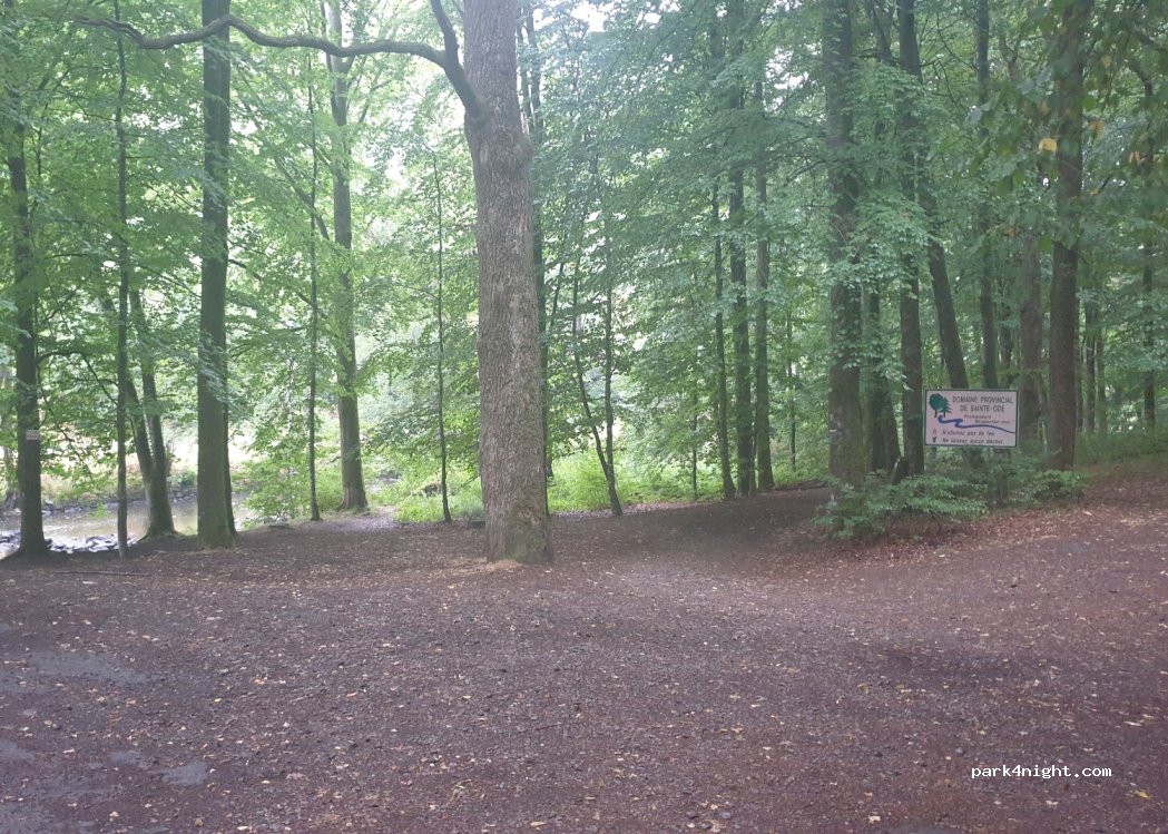 (6681) Sainte-Ode - Unnamed Road — foto 2