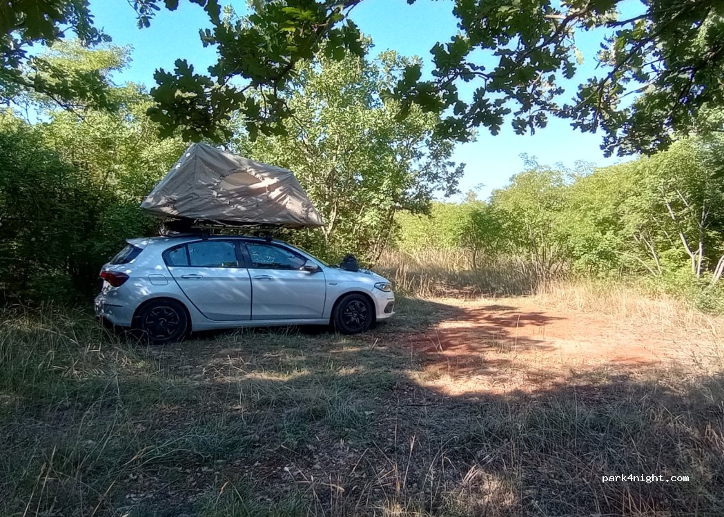 (52208) Mutvoran - — foto 3