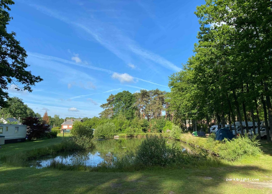 Het Swinnenbos — foto 3