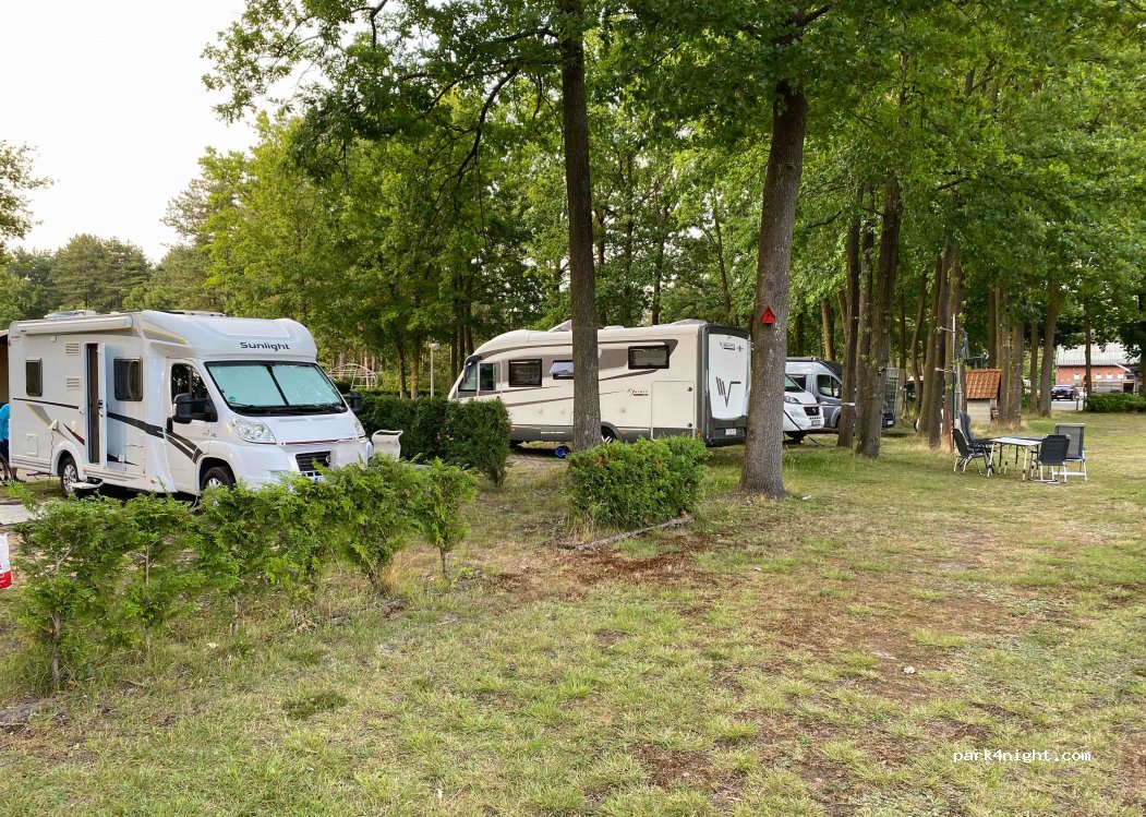 Het Swinnenbos — foto 4