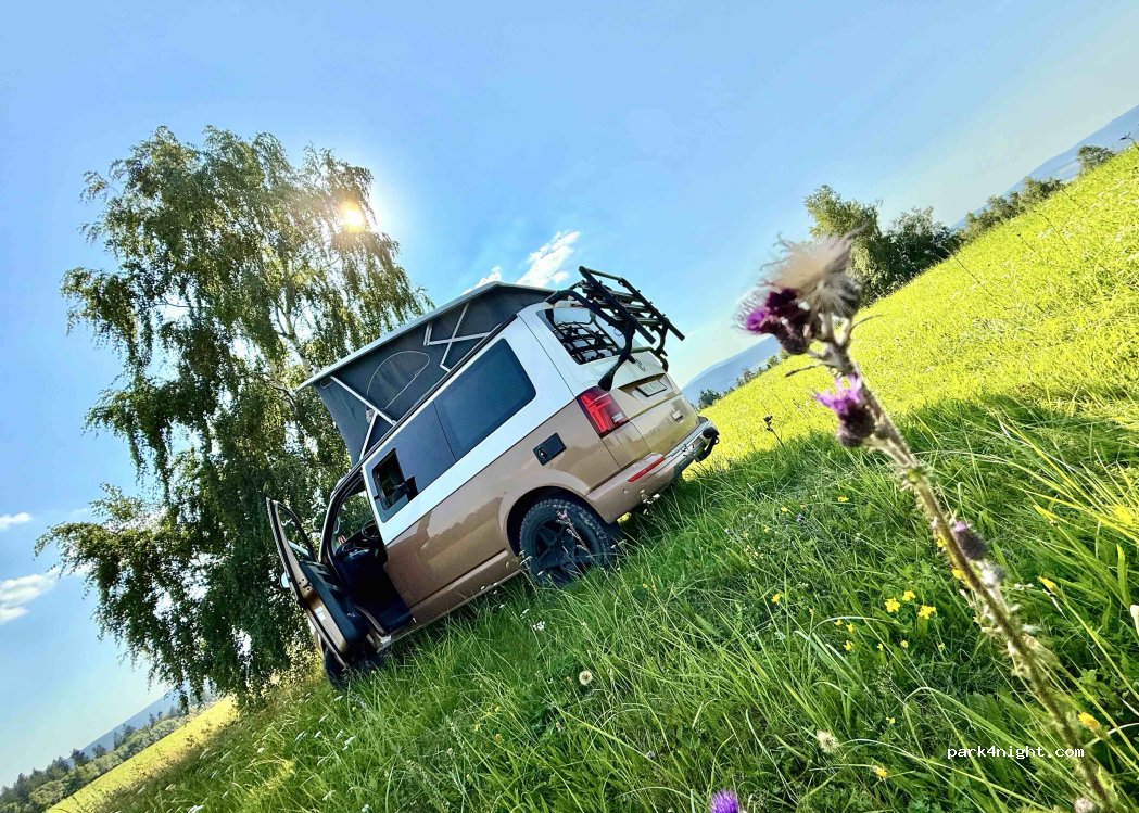 (38) Rzepedź - — foto 2