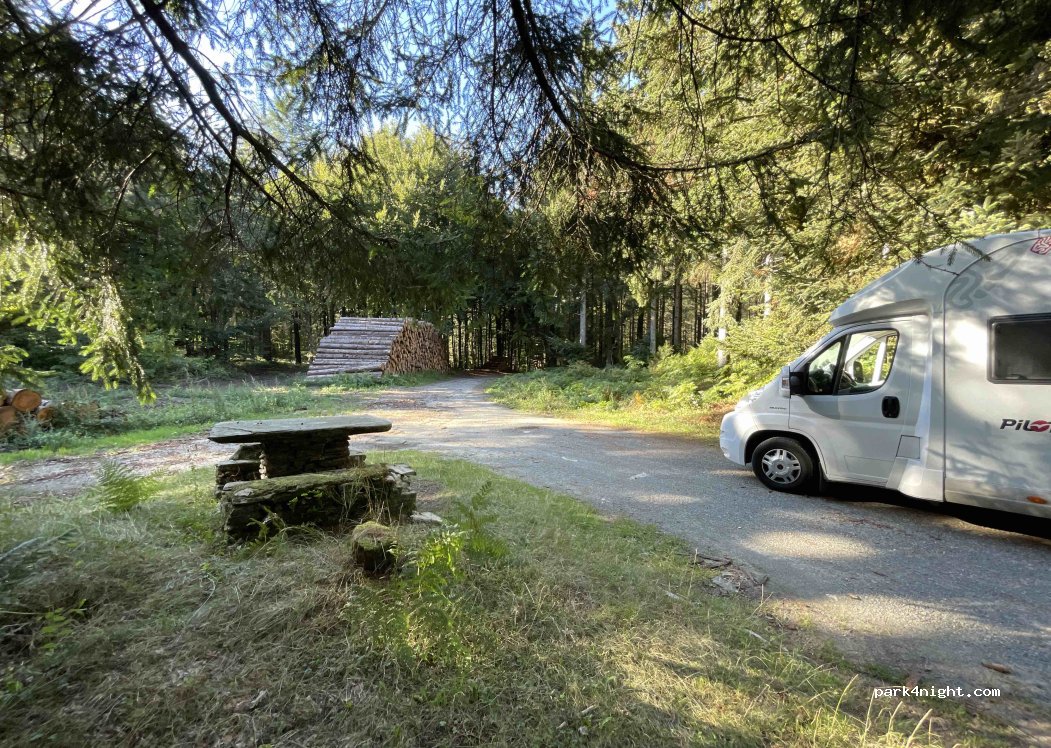 (81270) Labastide-Rouairoux - D64 — foto 2