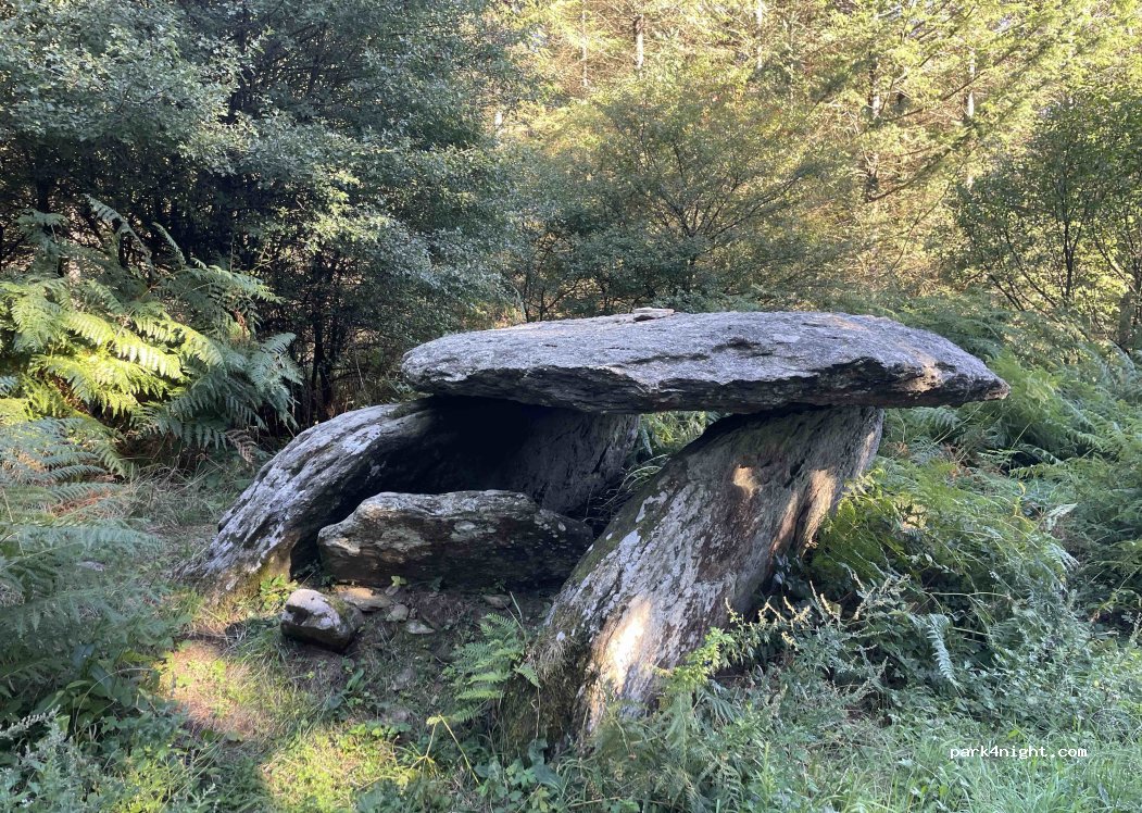 (81270) Labastide-Rouairoux - D64 — foto 4