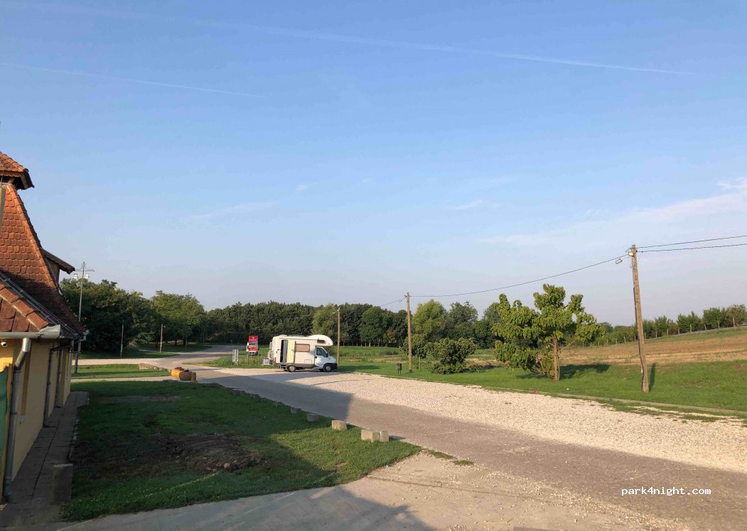 (24342) Pačir - BB Branka Radičevića — foto 2